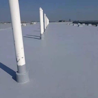甘肃临夏康乐县聚脲涂层防护的应用与价值